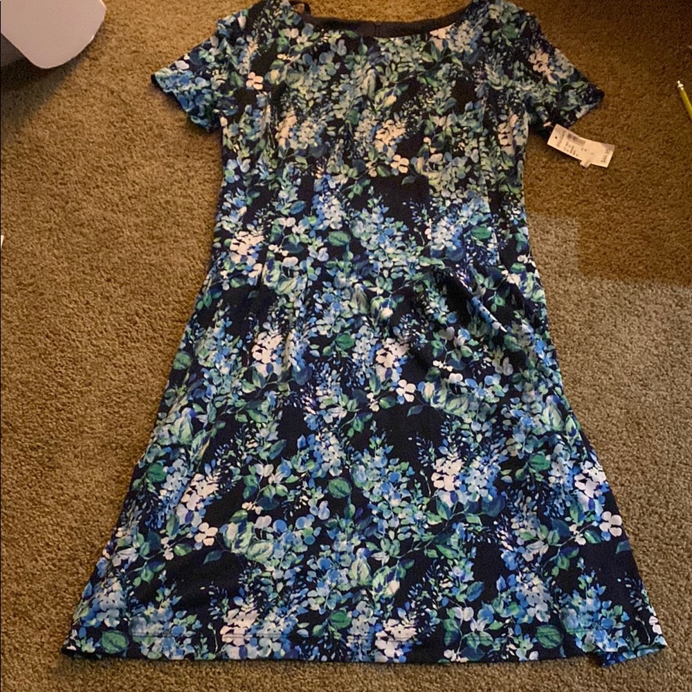 Dressbarn Floral Dress in Blue and Green
